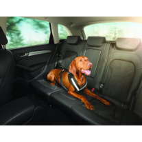 Audi bezpečnostní pás pro psy, vel. M